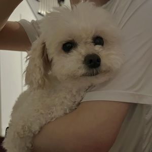 Meet your Posher, Pei